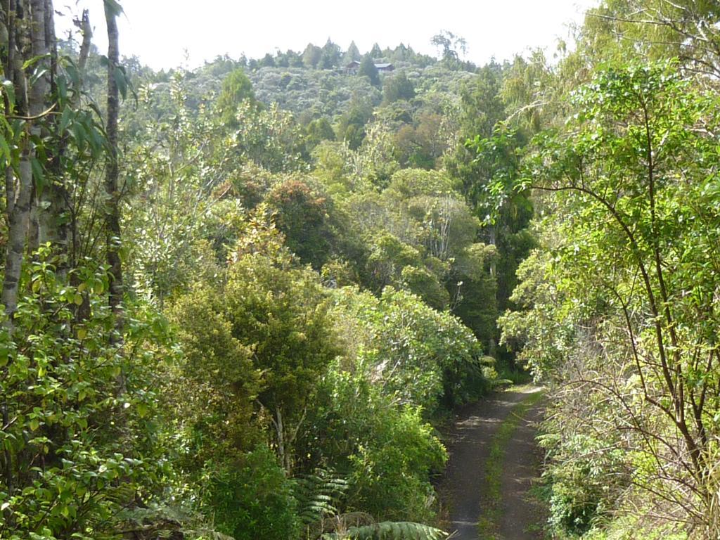 Fern Ridge Hideaway Villa Victoria Valley Exteriör bild